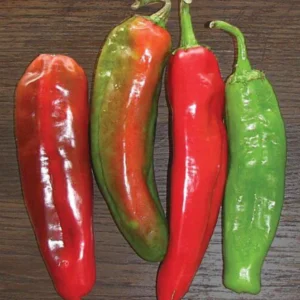 Anaheim Chilli Pepper seeds