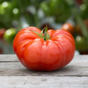 Beefsteak Tomato Seeds
