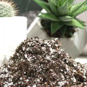 Cactus Soil Mix