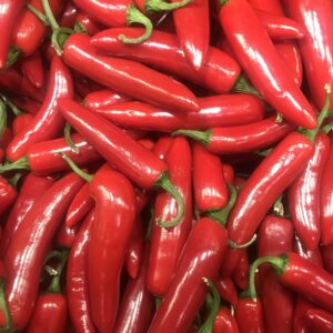 Chilli Pepper – Capsicum Annuum