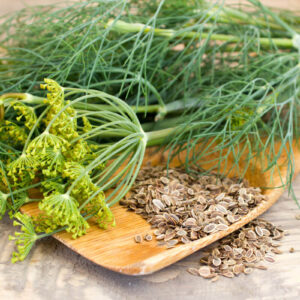 Dill Seeds