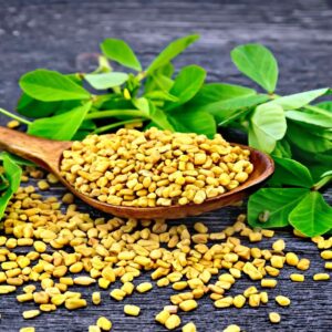 Fenugreek Seeds