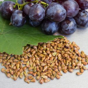 Grape Green Golden Finger Seeds