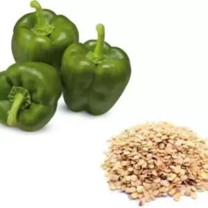 Green Bell Pepper Seeds