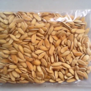 Honeydew Melon Seeds