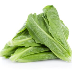 Lettuce Parris Island Seeds