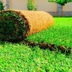 Natural Grass Carpet Roll