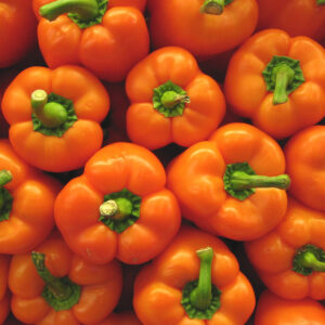 Orange Bell Pepper Seeds