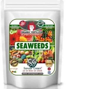 Organic Seaweed Fertilizer