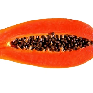 Papaya Red Lady F1 Seeds