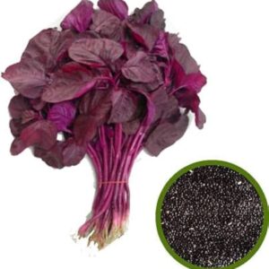 Spinach Red Seeds  – Amaranth Sada