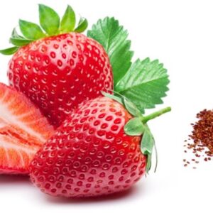 Strawberry Seeds