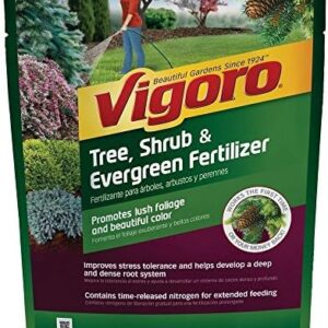 Vigoro Tree & Shrub Fertilizer
