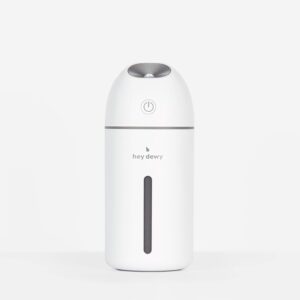 Wireless Humidifier