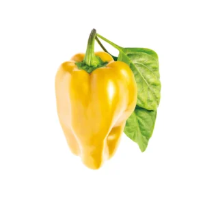 Yellow Bell Pepper Seeds