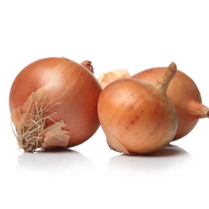 Yellow Onion Seeds – Texas Early Grano
