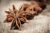 Anise Seeds