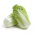Chinese Cabbage Seeds