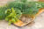 Dill Seeds