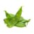 Dolichos Beans F1 Hybrid Seeds