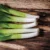 Leek Seeds