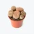 Lithops – Stone Plant