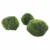 Marimo  Living Water Moss Balls