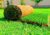 Natural Grass Carpet Roll