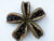 Peony Flower Seeds
