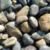 River Stones