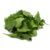 Rocca Rocket Seeds
