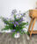Sapphire Showers – Duranta Erecta