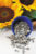 Sunflower Seeds