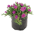 Vygie – Lampranthus