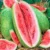 Watermelon Charlestone Grey Seeds