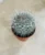 White Spiked Cactus