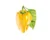 Yellow Bell Pepper Seeds