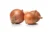 Yellow Onion Seeds – Texas Early Grano